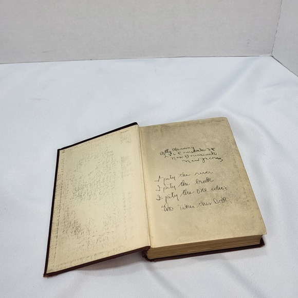 Elsie's Holidays at Roselands Martha Finley Vintage 1898 Hardcover Book - Picture 3 of 10